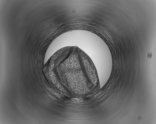 X0000098070328200805021004