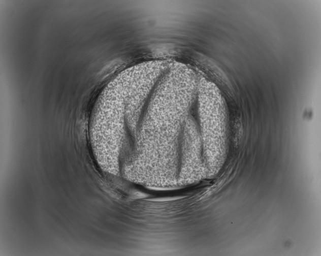 X0000098070329200805021004