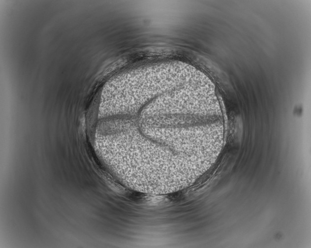 X0000098070333200805021004