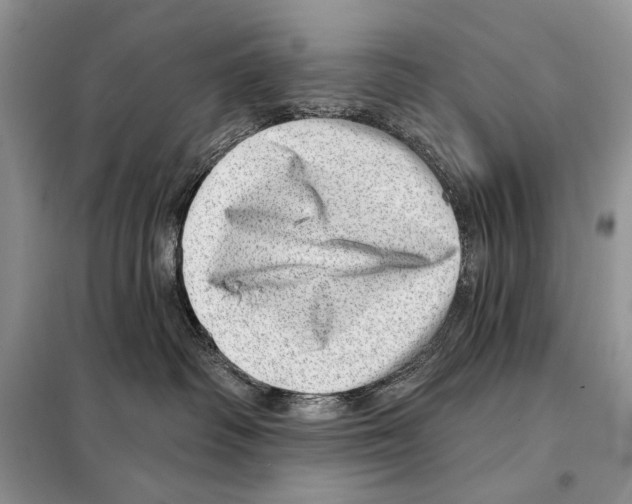 X0000098070334200805021004