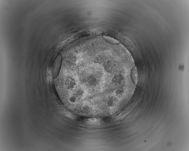 X0000098070335200805021004