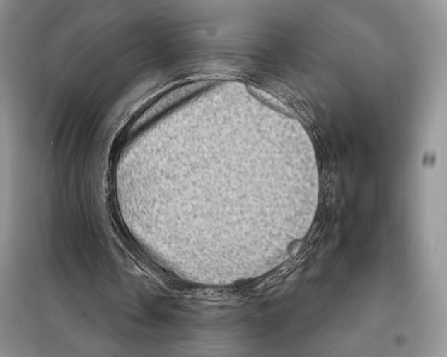 X0000098070338200805021003