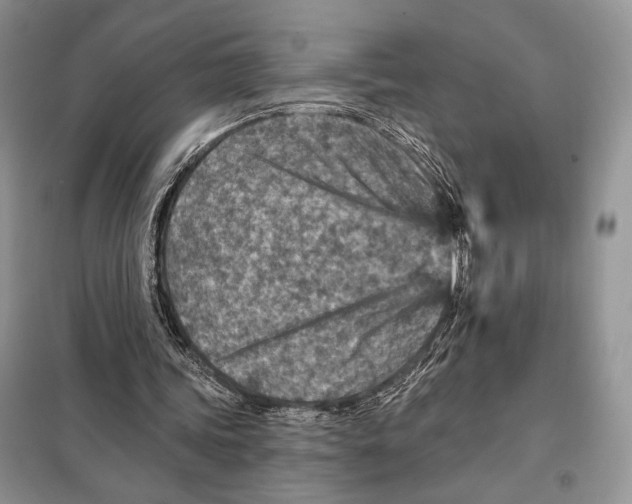 X0000098070339200805021003