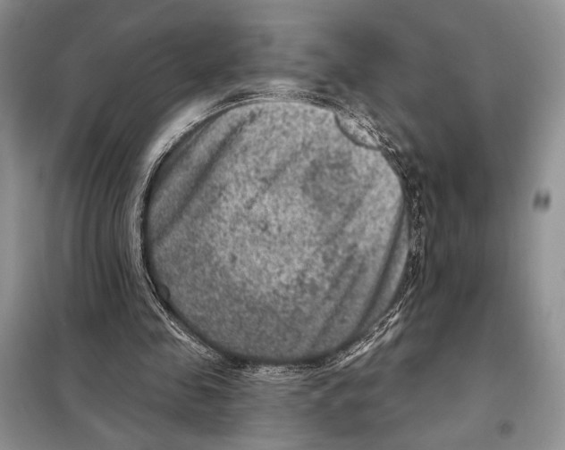 X0000098070341200805021003