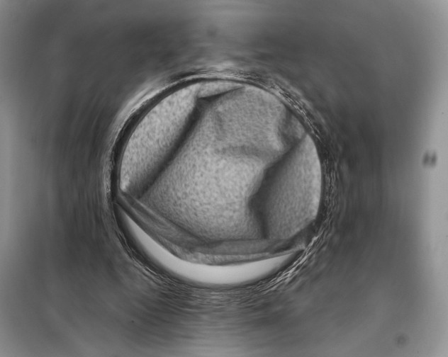 X0000098070344200805021003