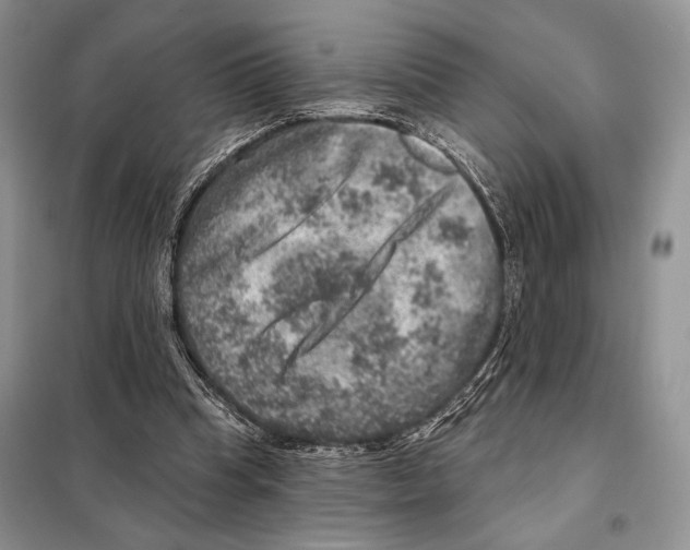 X0000098070345200805021003