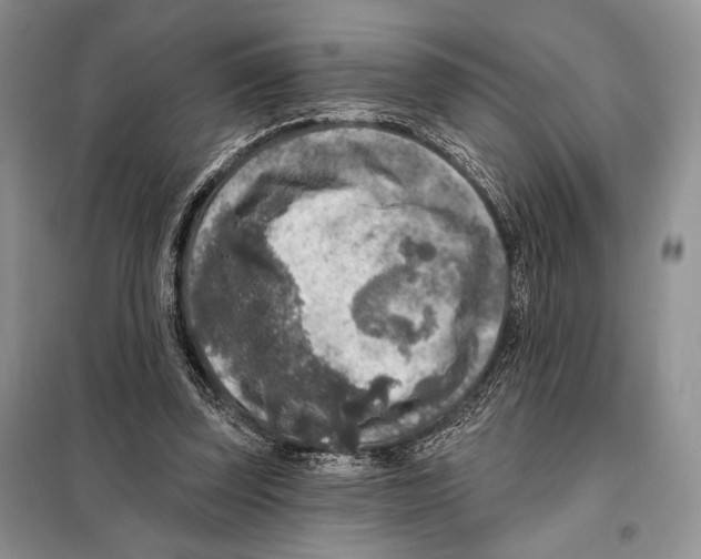 X0000098070347200805021003