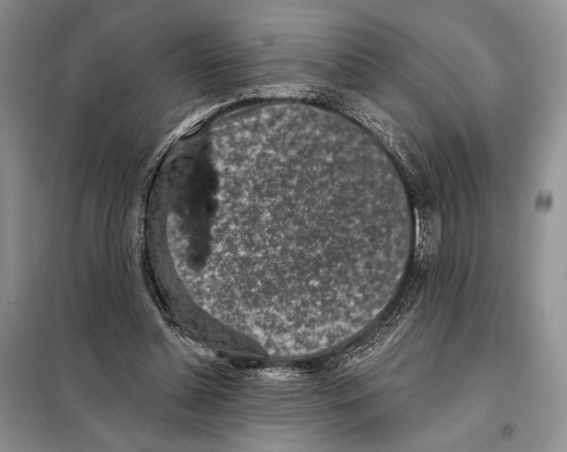 X0000098070348200805021003