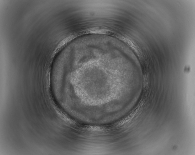 X0000098070349200805021003