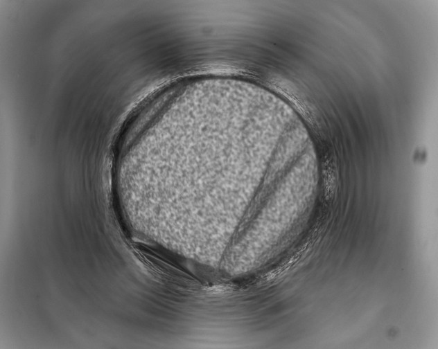 X0000098070350200805021003