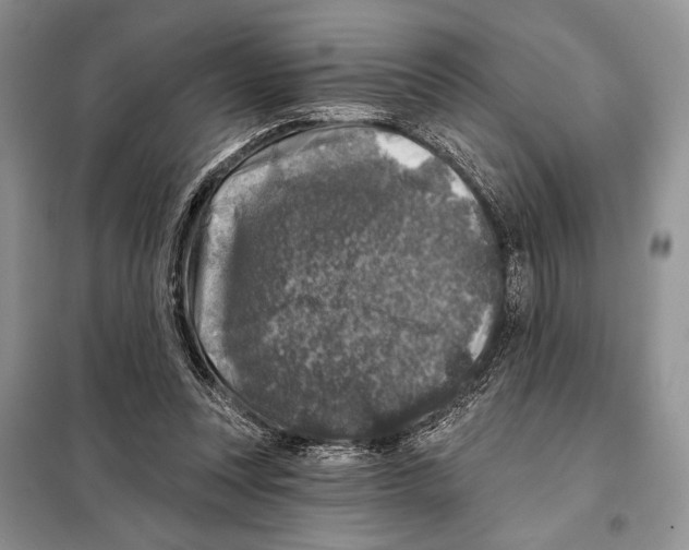 X0000098070351200805021003