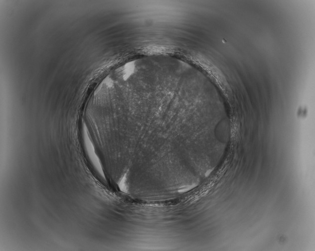 X0000098070353200805021003