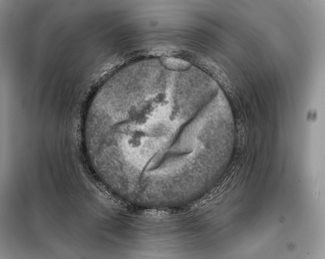 X0000098070354200805021003