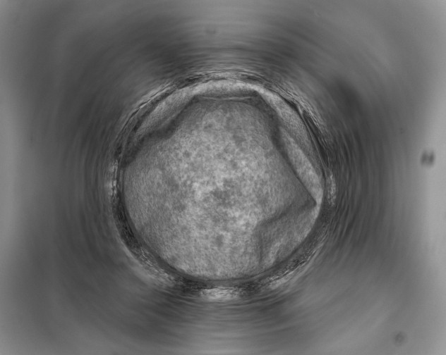 X0000098070356200805021003