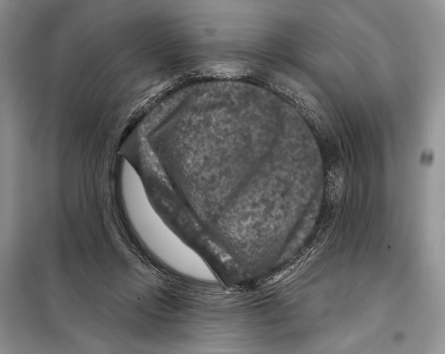 X0000098070358200805021003