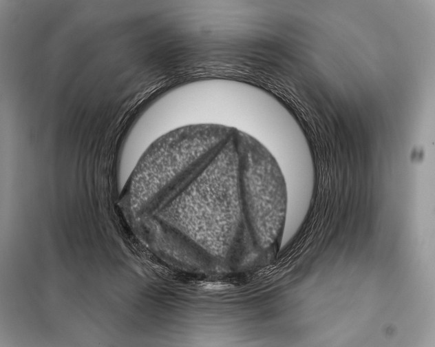 X0000098070360200805021003