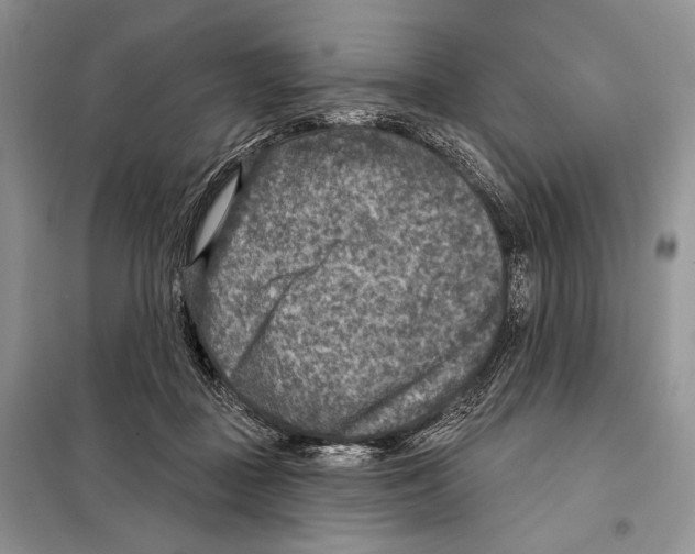 X0000098070363200805021003