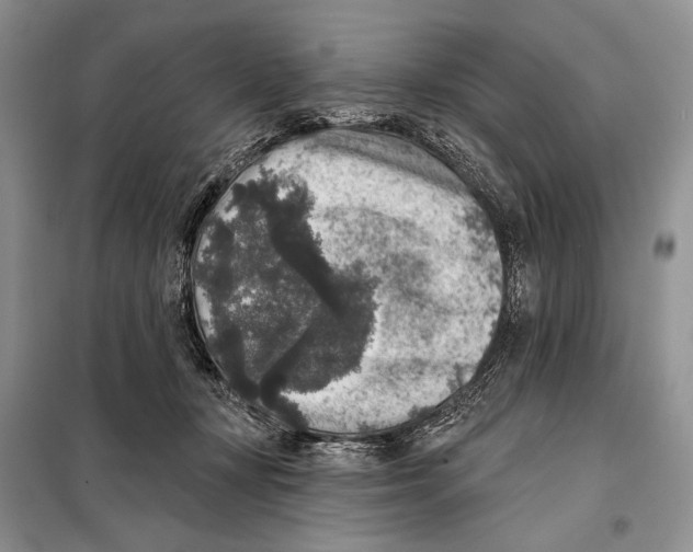 X0000098070367200805021003