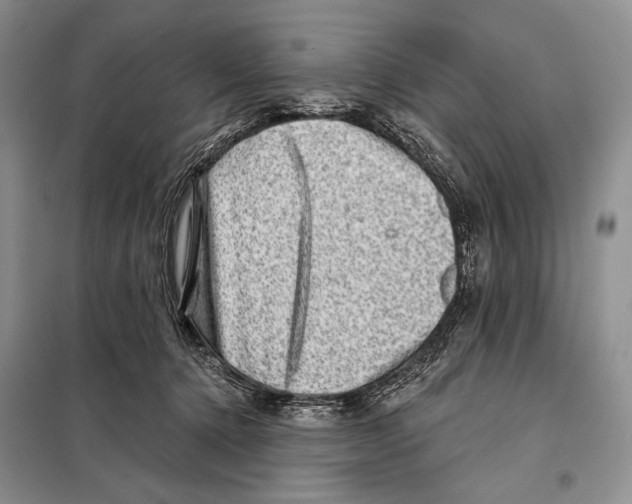 X0000098070368200805021003