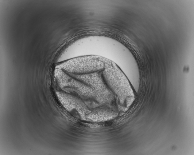 X0000098070370200805021003