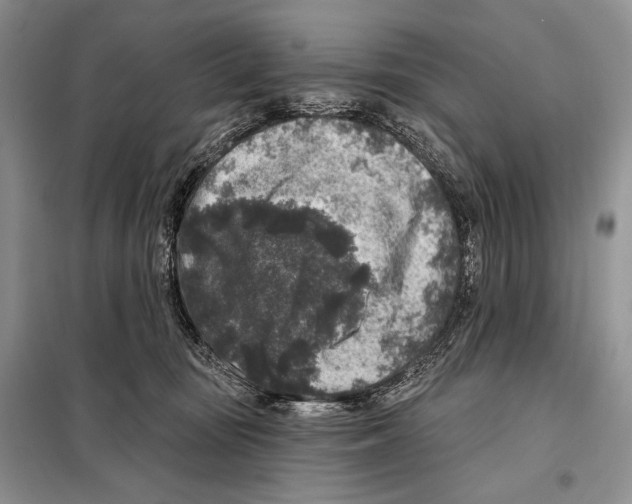 X0000098070371200805021003