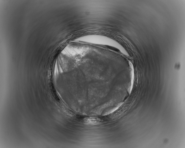 X0000098070372200805021003