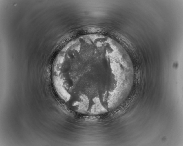 X0000098070373200805021003