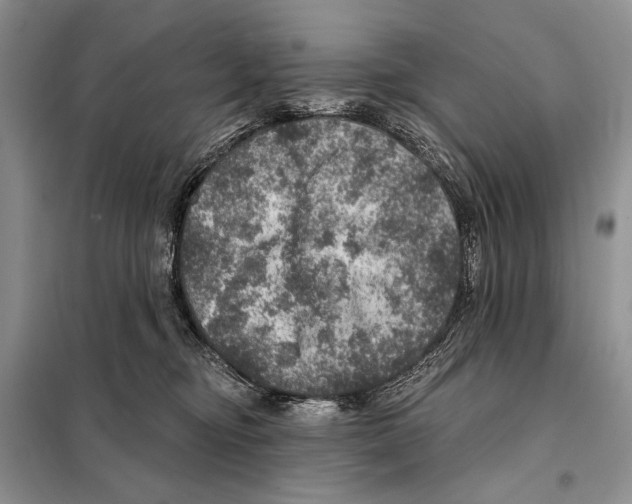 X0000098070374200805021003