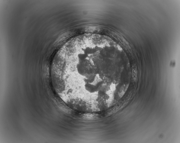 X0000098070375200805021003