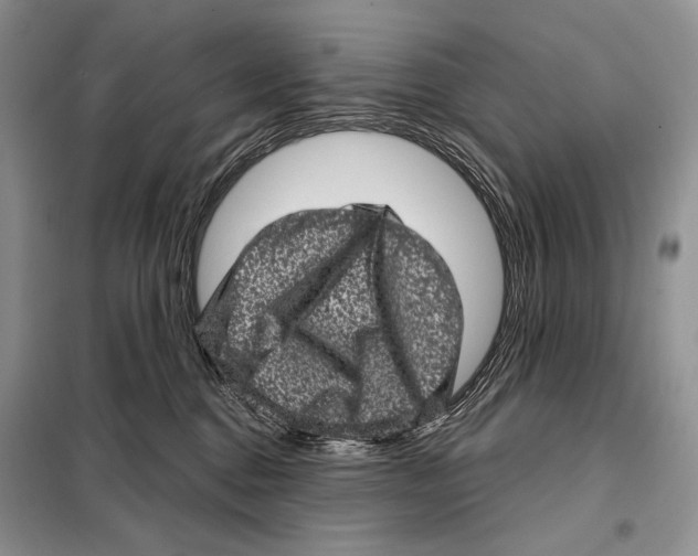 X0000098070376200805021003