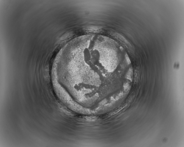 X0000098070377200805021003