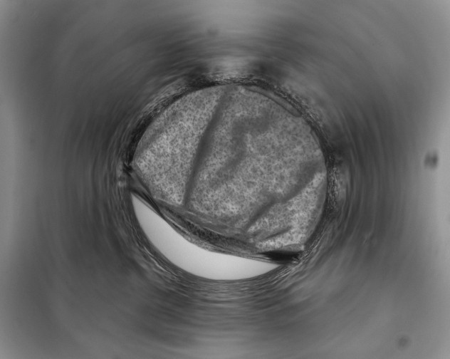 X0000098070380200805021003