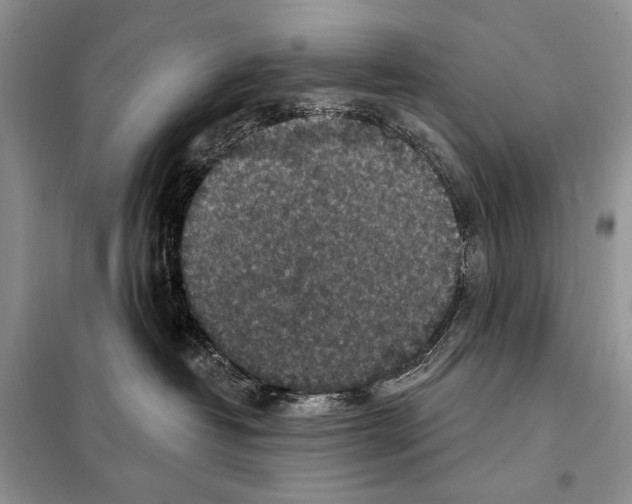 X0000098070382200805021004