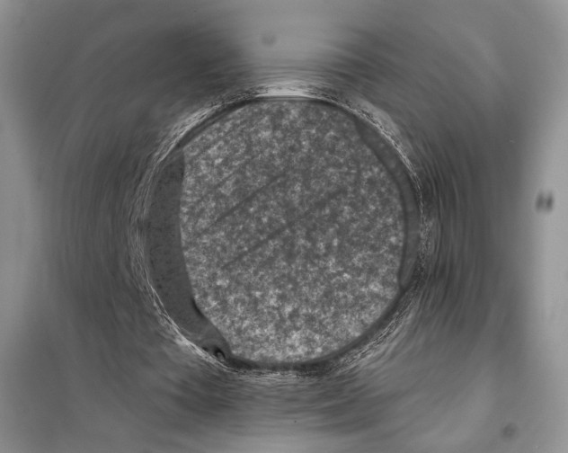 X0000098070385200805021003