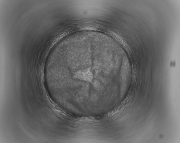 X0000098070386200805021003