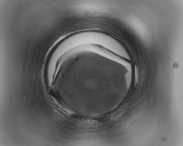 X0000098070387200805021003