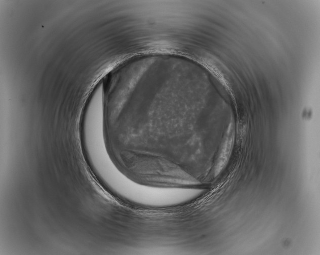 X0000098070389200805021003