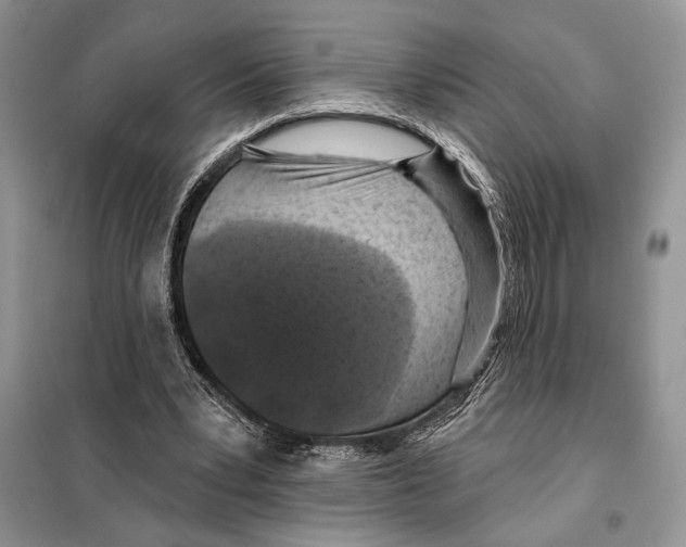 X0000098070391200805021003