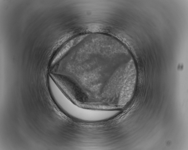 X0000098070393200805021003