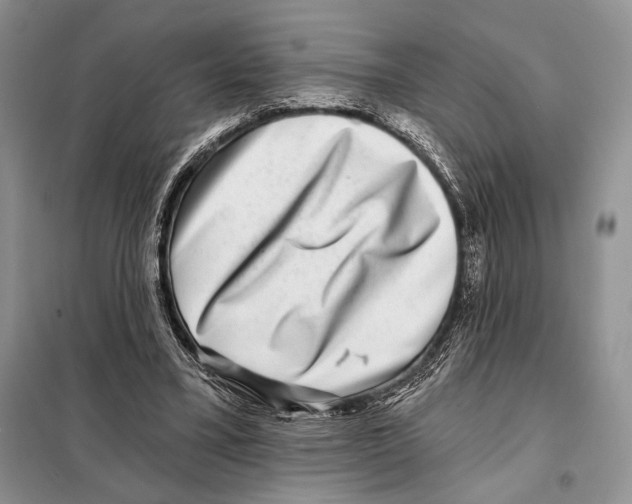 X0000098070395200805021003