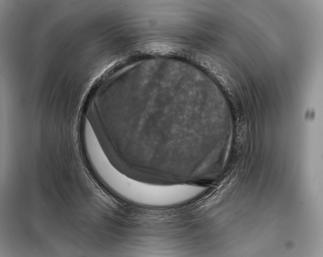 X0000098070399200805021003