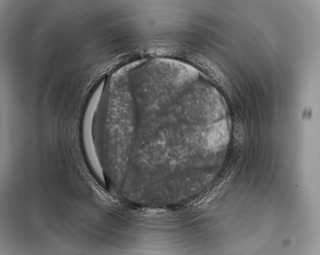 X0000098070401200805021003