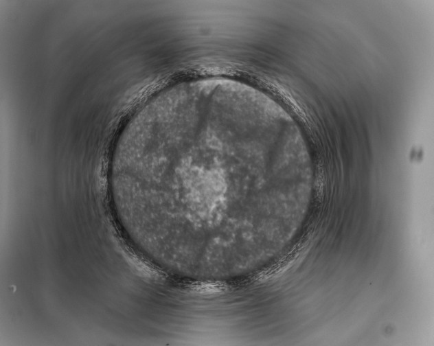 X0000098070402200805021003