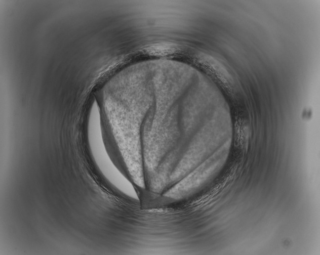 X0000098070404200805021003