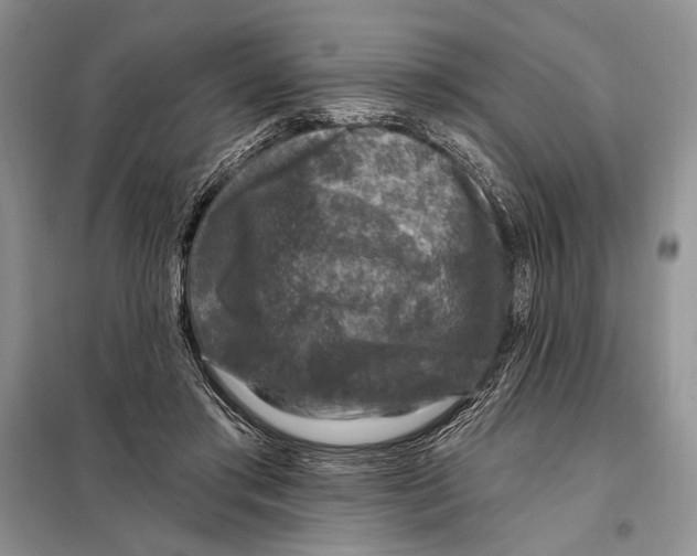 X0000098070405200805021003