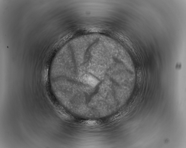 X0000098070406200805021003