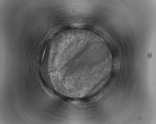 X0000098070408200805021003