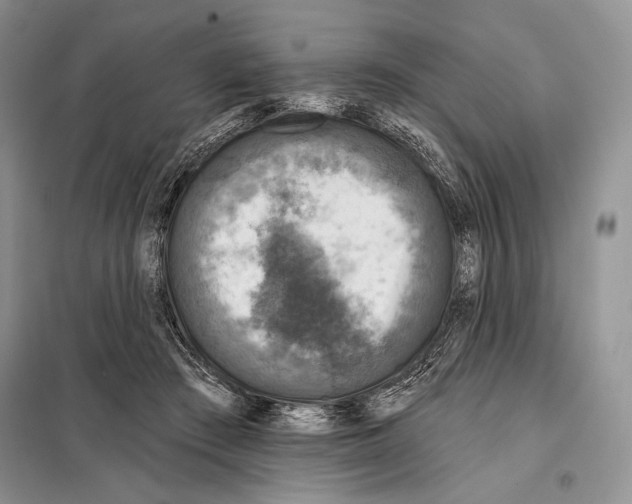 X0000098070409200805021003