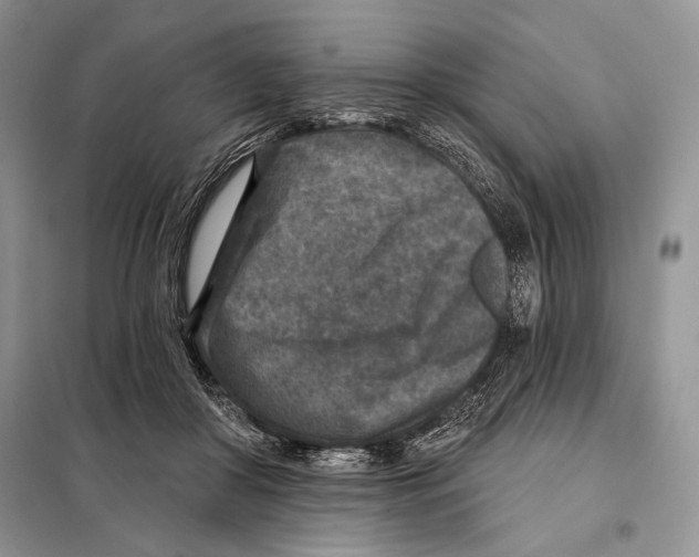 X0000098070410200805021003