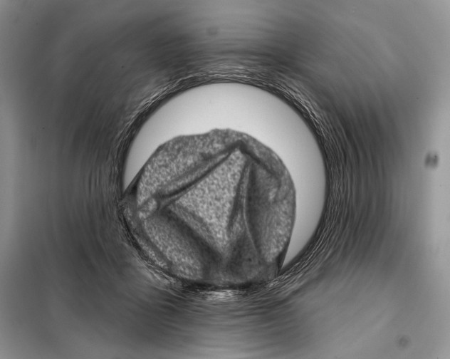 X0000098070411200805021003